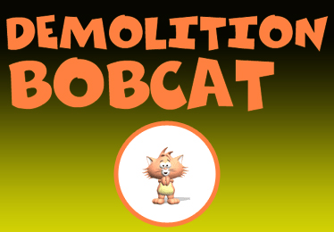 Demolition Bobcat