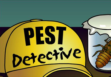 Pest Detective Game